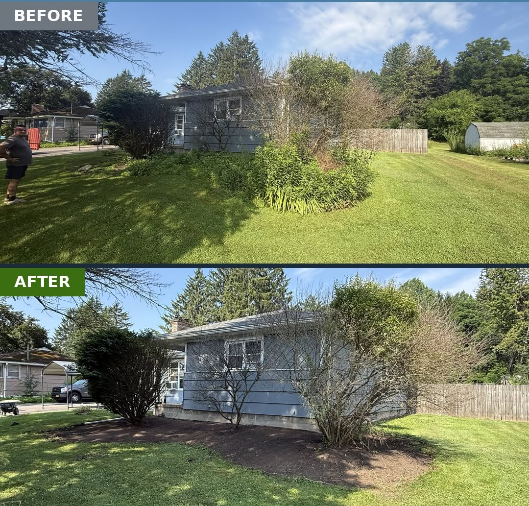 Property Improvement Project 2